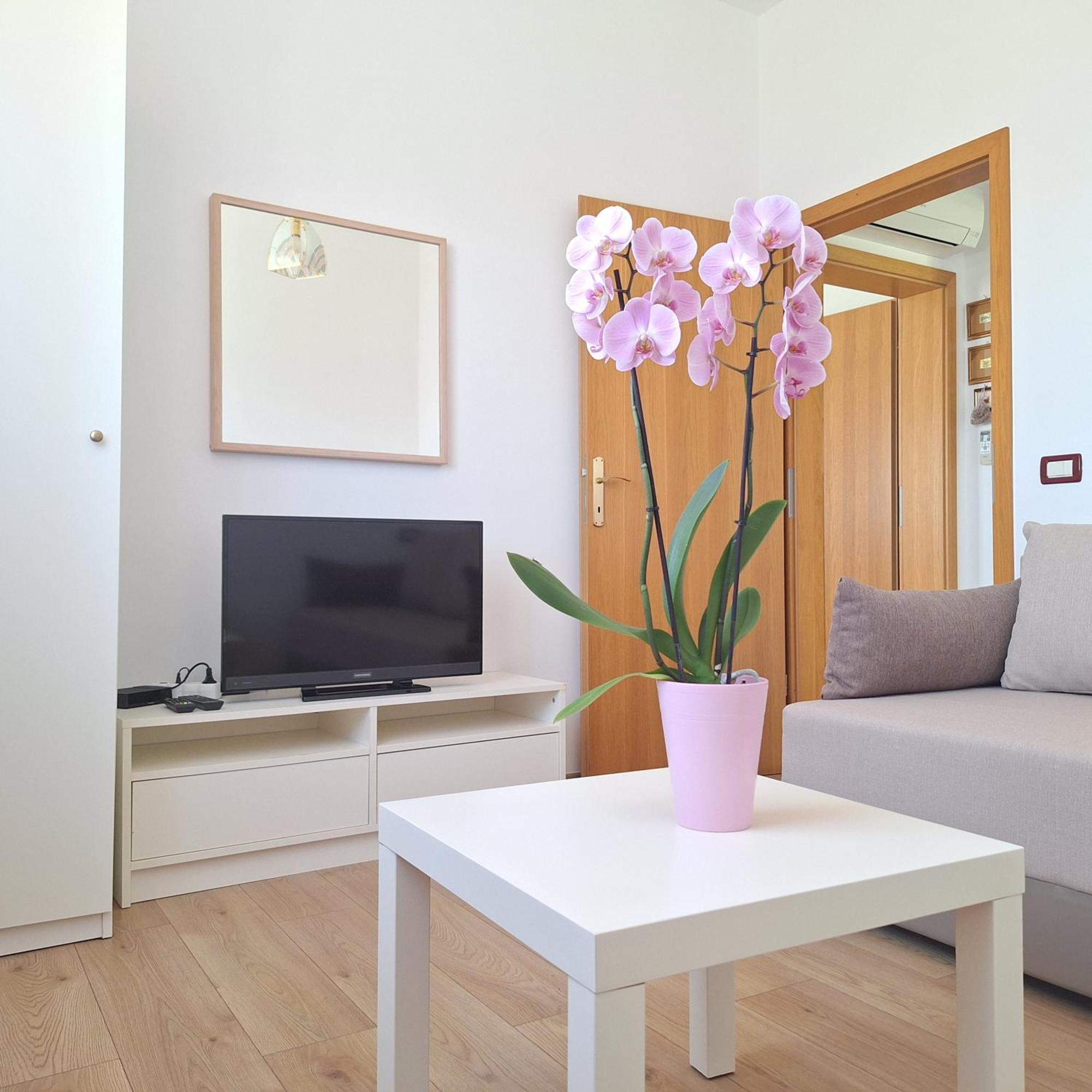 Apartment Mita Grožnjan المظهر الخارجي الصورة