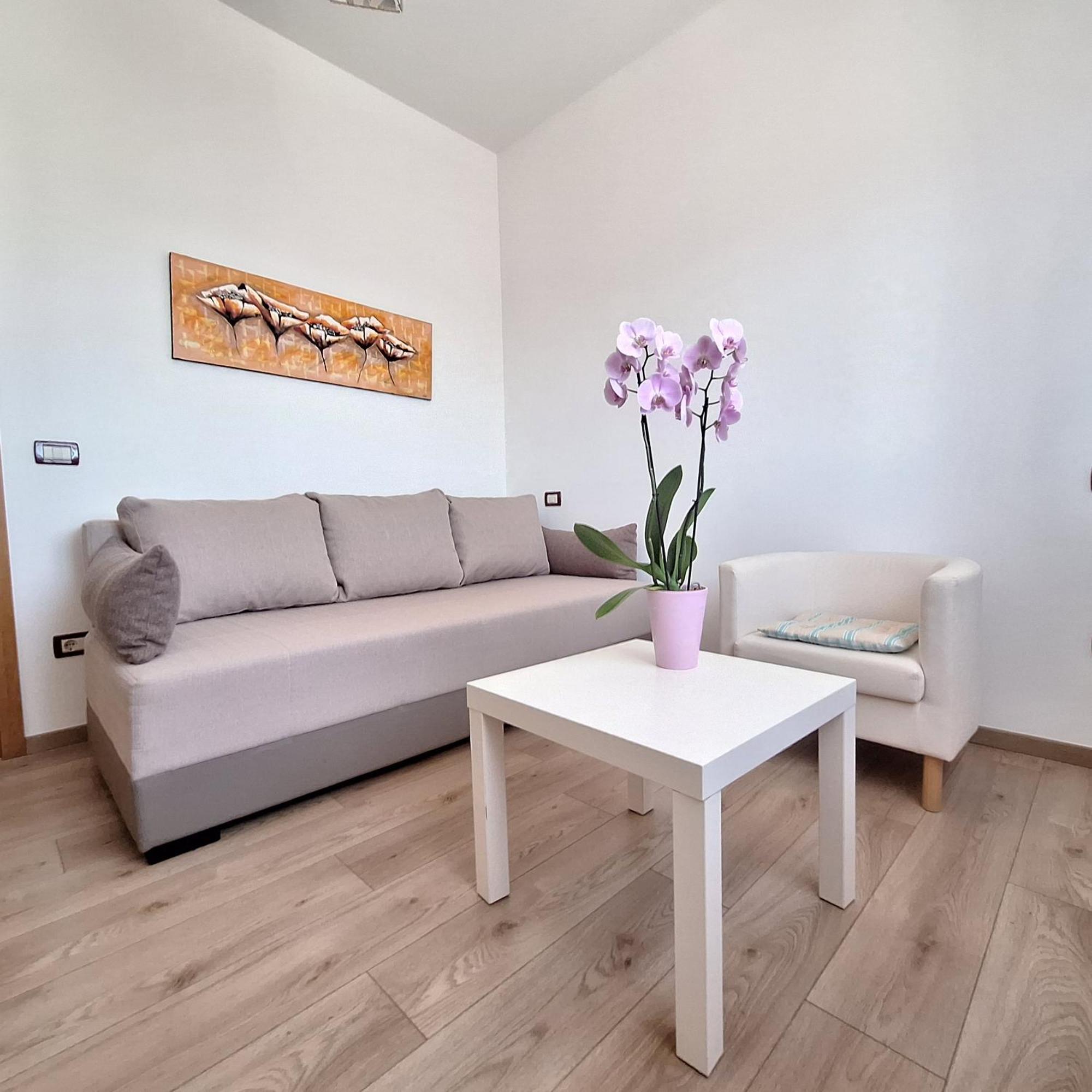 Apartment Mita Grožnjan المظهر الخارجي الصورة